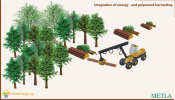 Integrated harvesting of pulpwood & energywood