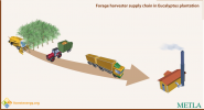 Forage harvester supply chain in Eucalyptus plantation
