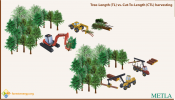Tree-length harvesting vs Cut-to-length harvesting