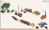 Integrated harvesting of roundwood & energy wood in steep terrain with mechanized cutting